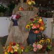 cut flower arrangements