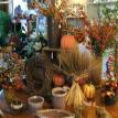 autumn in the air