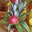 Permanent arrangement, exotic