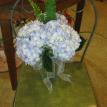 hydrangeas