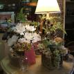 Spring permanent botanicals